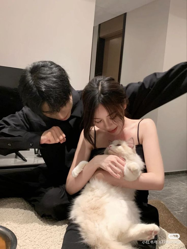 ĐỪNG AI TRANH LÀM CHÓ NHỎ VỚI TÔI