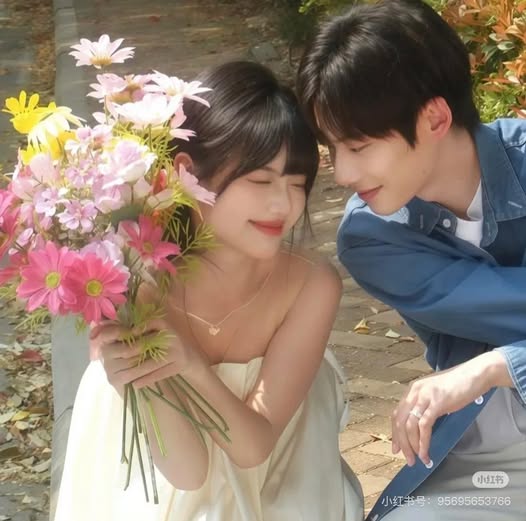 Cố Bắc yêu Hạ Vãn