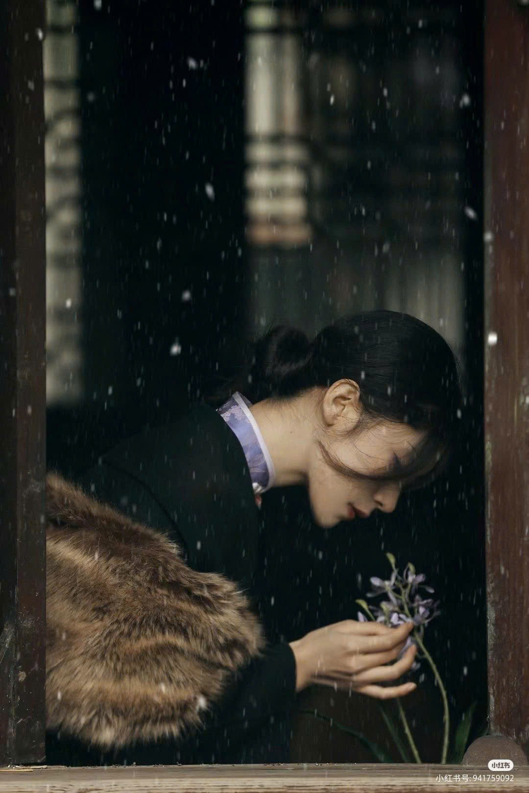 HOA HỒNG NỞ BÊN MÁI NHÀ XIÊU