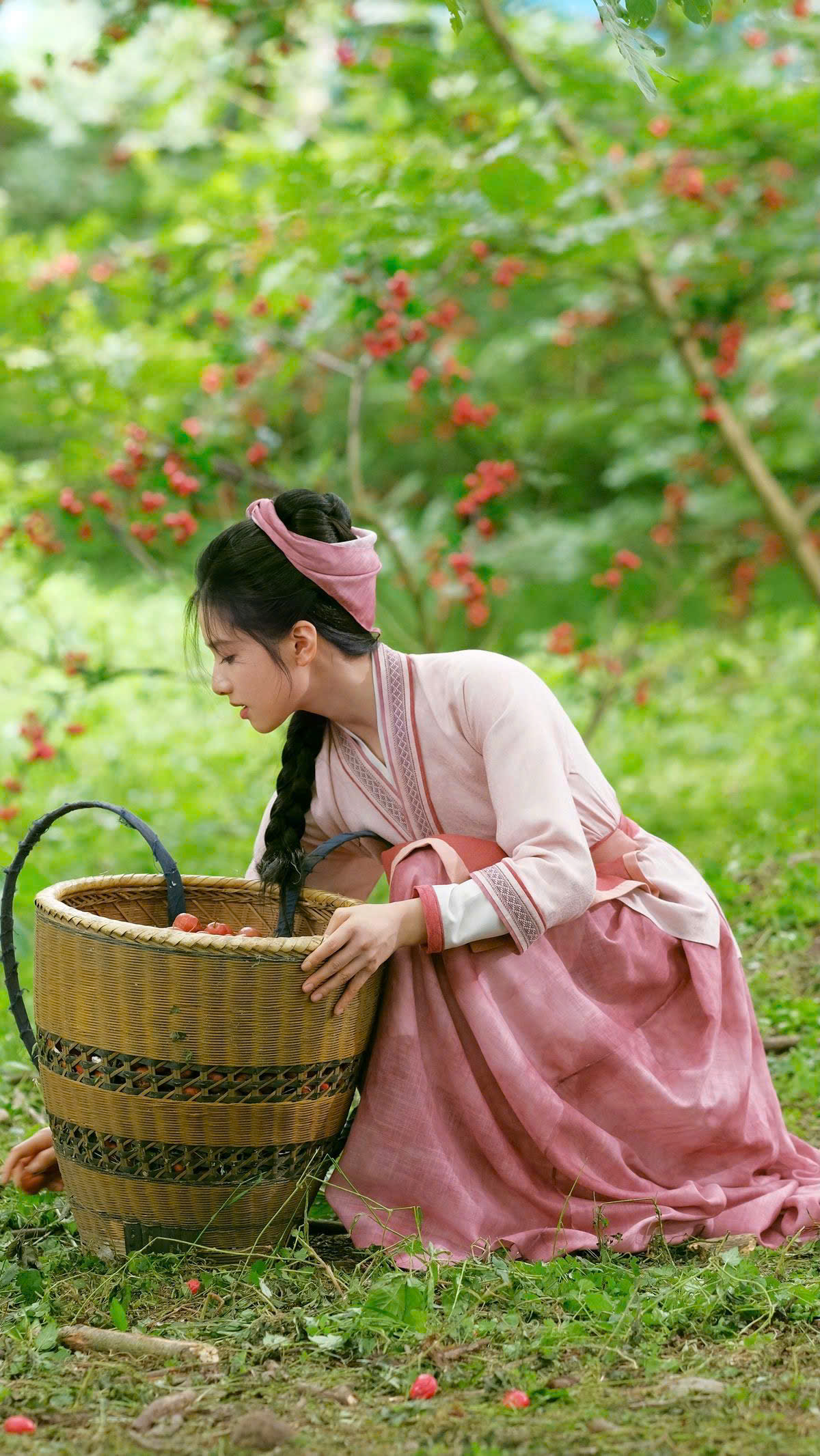 CÁ MUỐI TỔ SƯ
