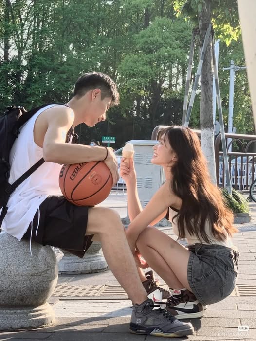 Cúc họa mi không lời